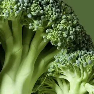 Broccoli