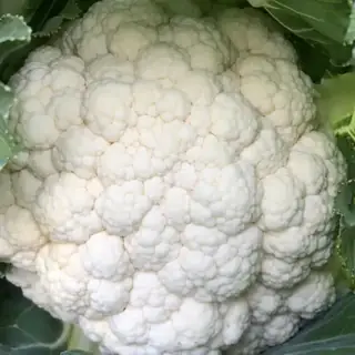 Cauliflower