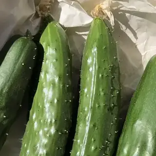 Cucumber