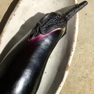 Eggplant