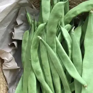 Green Bean