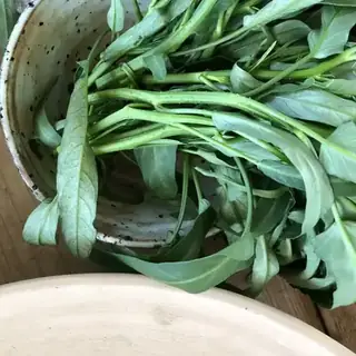 Kushinsai