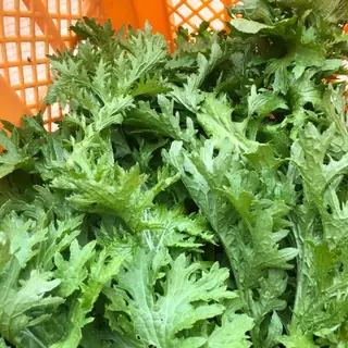 Wasabi Greens