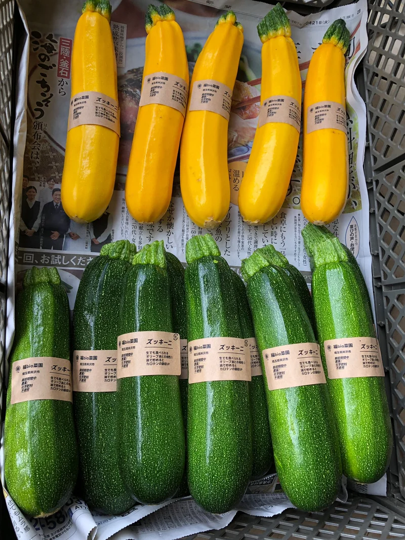 ズッキーニ — 所沢・福bio菜園