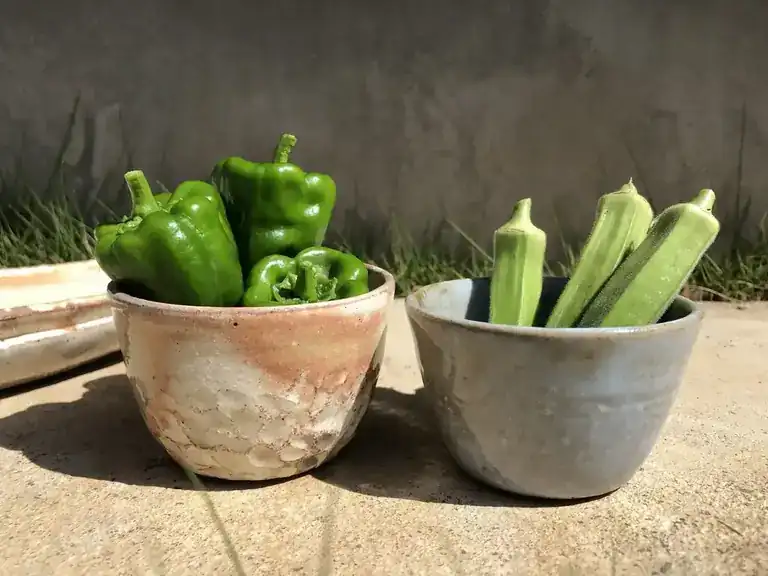 作物ガイド